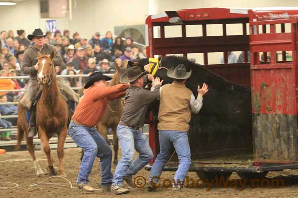Ranch Rodeo, Equifest of Kansas, 02-11-12 - Photo 28