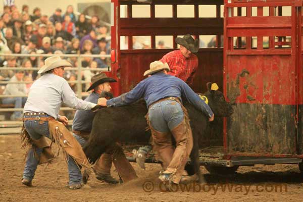 Ranch Rodeo, Equifest of Kansas, 02-11-12 - Photo 32