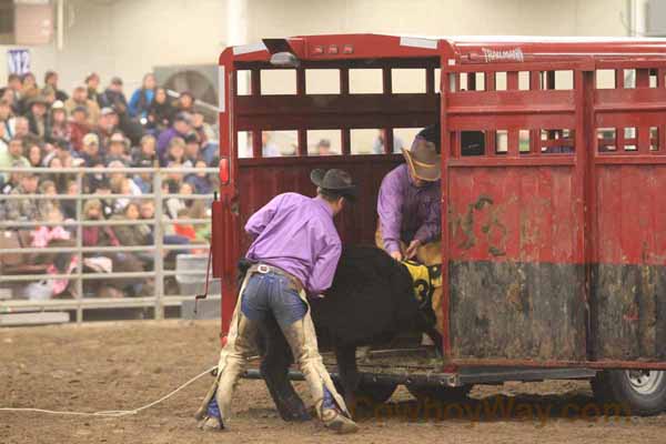 Ranch Rodeo, Equifest of Kansas, 02-11-12 - Photo 34