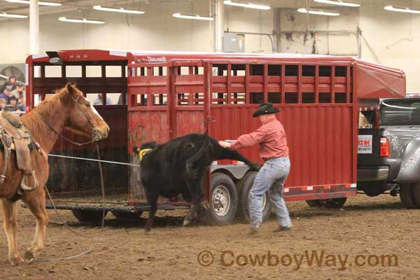 Ranch Rodeo, Equifest of Kansas, 02-11-12 - Photo 37