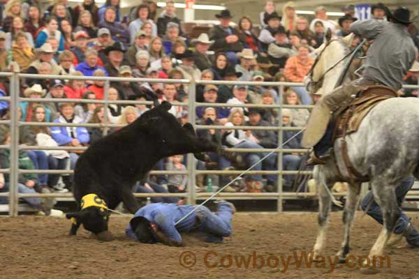Ranch Rodeo, Equifest of Kansas, 02-11-12 - Photo 38