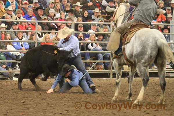 Ranch Rodeo, Equifest of Kansas, 02-11-12 - Photo 39