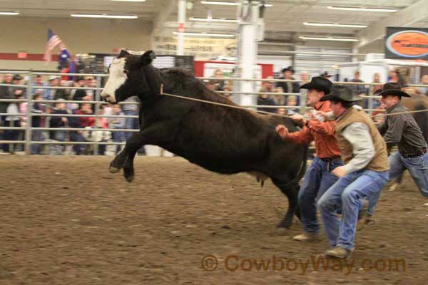 Ranch Rodeo, Equifest of Kansas, 02-11-12 - Photo 55