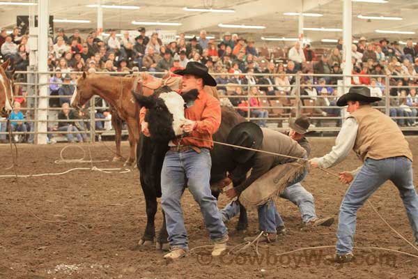 Ranch Rodeo, Equifest of Kansas, 02-11-12 - Photo 57
