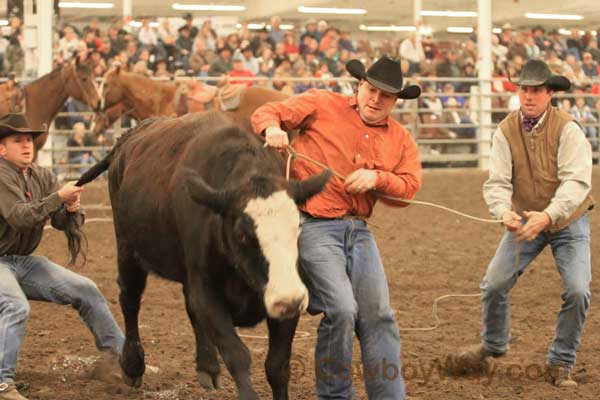 Ranch Rodeo, Equifest of Kansas, 02-11-12 - Photo 58