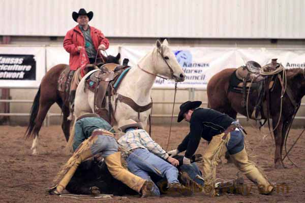 Ranch Rodeo, Equifest of Kansas, 02-12-11 - Photo 11