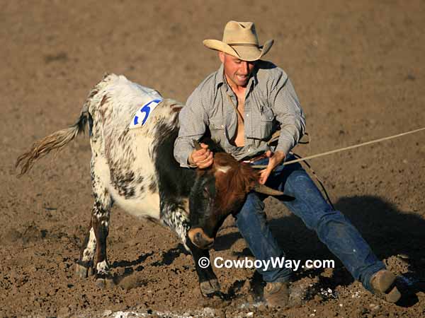 A ranch rodeo cowboy moves in to mug a steer