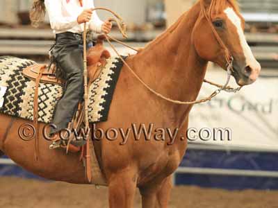 Rawhide romal reins