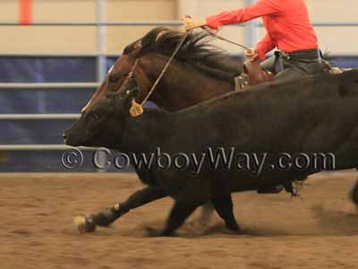 Romal reins on a Working Cow Horse entry