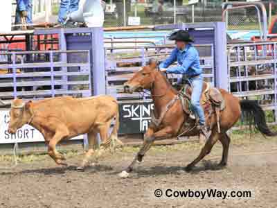 Roping saddle at a ranch rodeo