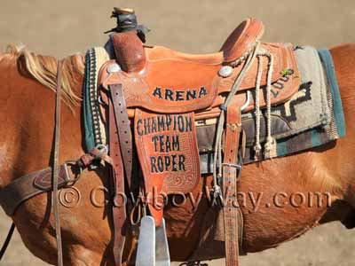 A trophy roping saddle