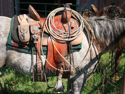 A ranch / roping saddle on a gray horse
