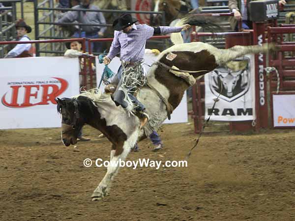 A paint bronc and bronc rider