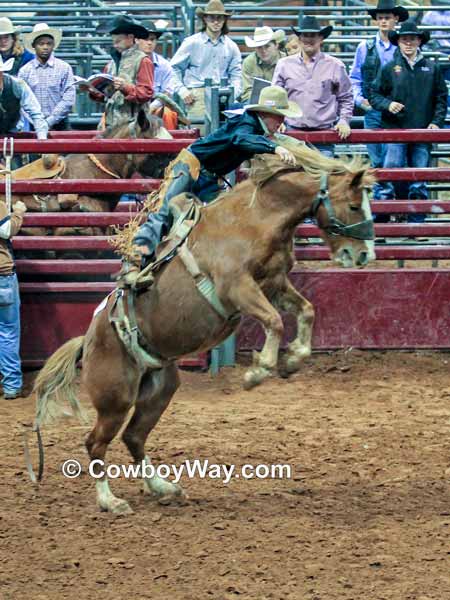 A saddle bronc bucks high on his hind legs