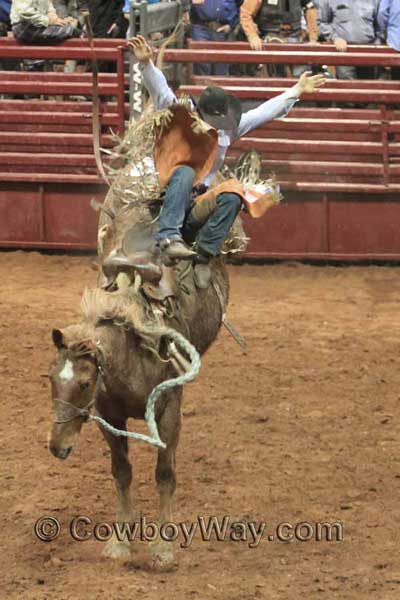 A bronc rider makes a high, wild, dismount