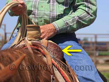 The fork of a Western saddle. Also called the saddle, fork, swells, or pommel.