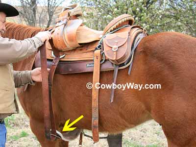 How to saddle a horse: Snug the saddle to the horse