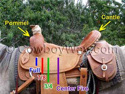 A roping saddle illustrated with saddle rigging positions