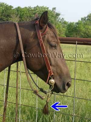 A shoo fly, or horsehair tassel