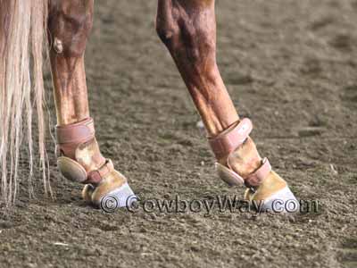 Heavy leather skid boots on a horse