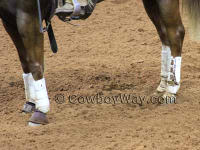 A horse wearing splint boots, bell boots, and skid boots