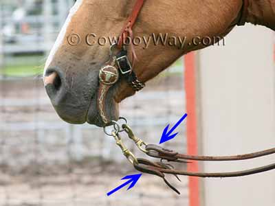 Water loops with split reins