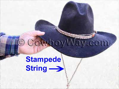 A stampede string on a cowboy hat