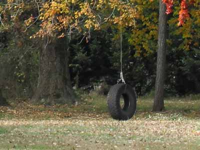 A tire swing that is not a horse