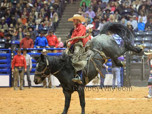 Ryan Rhinehart rides a blue roan ranch bronc