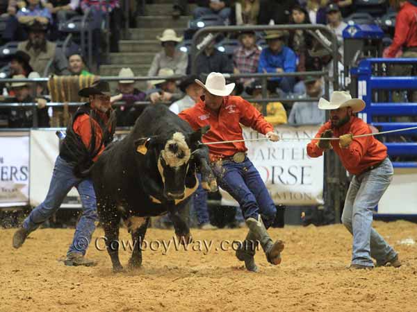 In a ranch rodeo, three men try to stop a cow