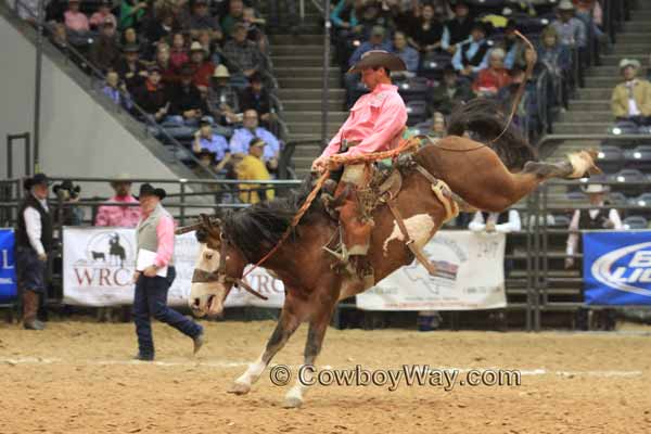 WRCA Ranch Bronc Riding 2014 - Bronc Rider Chris Potter