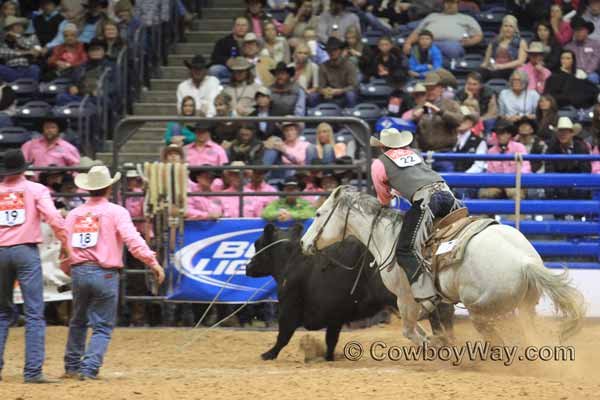 World Championship Ranch Rodeo (WCRR) wild cow milking - Beachner Brothers Livestock
