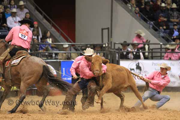 WRCA Ranch Rodeo Finals, 11-07-14, Wild Cow Milking, Stock Ranch and Diamond E Ranch