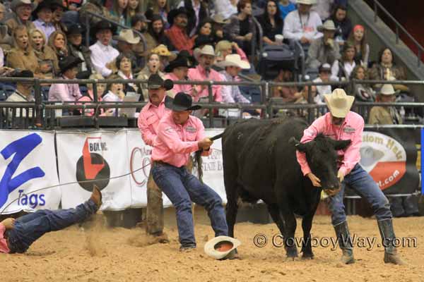 World Championship Ranch Rodeo (WCRR) wild cow milking
