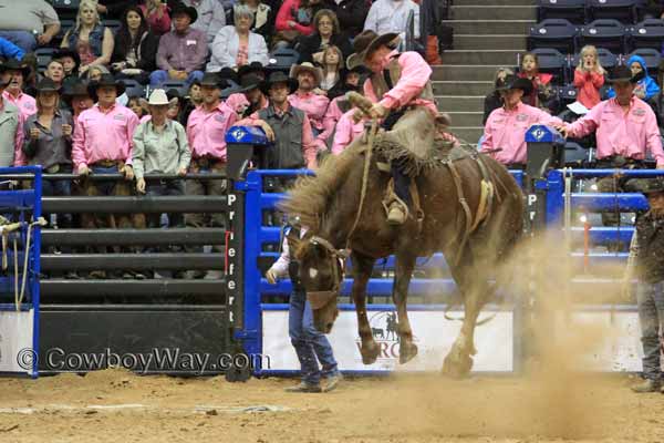 WRCA Ranch Bronc Riding 2014 - Bronc Rider Daniel Scribner making a qualified ride