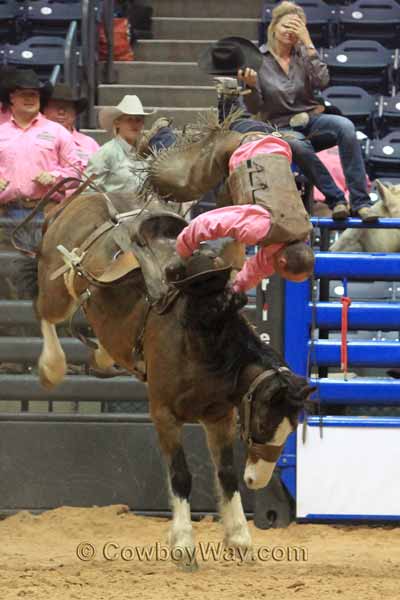 WRCA Ranch Bronc Riding 2014 - Bronc Rider Daniel Scribner