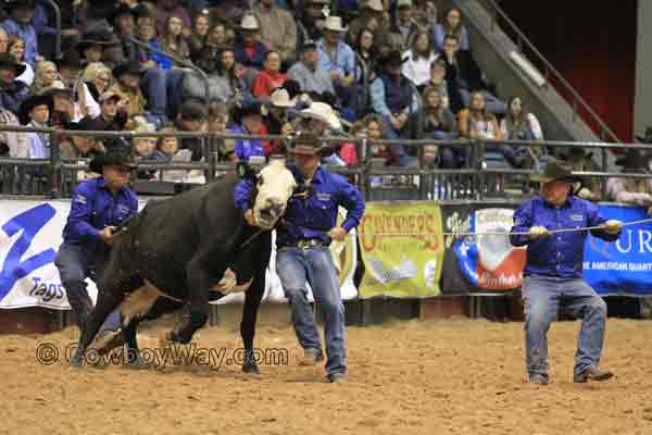 Ranch Rodeo Finals, WRCA, 11-08-14 - Photo 27