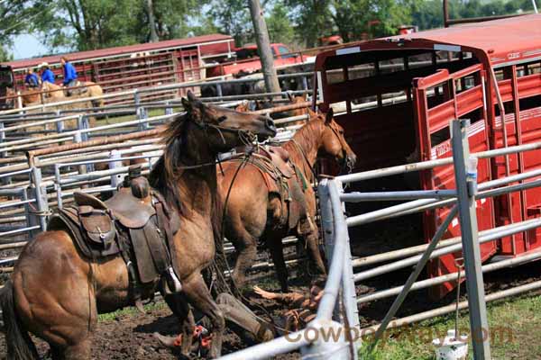Women's Ranch Rodeo Association (WRRA), 06-28-08 - Photo 65