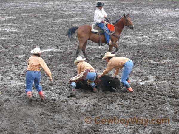 Women's Ranch Rodeo Association (WRRA), 06-28-08 - Photo 74