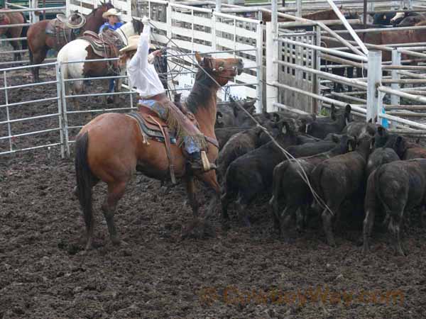 Women's Ranch Rodeo Association (WRRA), 06-28-08 - Photo 75