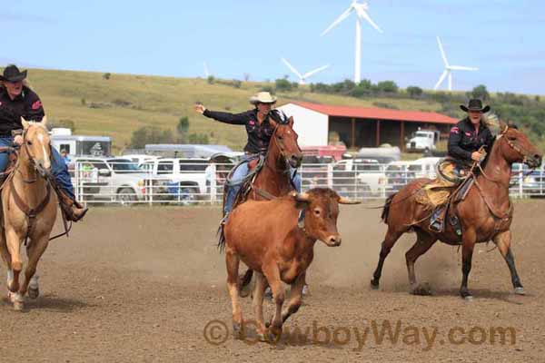 Women's Ranch Rodeo Association (WRRA), 09-14-14 - Photo 48