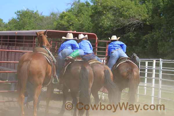 Women's Ranch Rodeo Association (WRRA), 09-14-14 - Photo 60