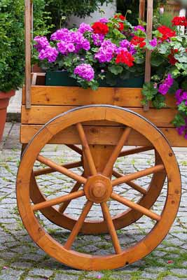 A wagon wheel planter in a yard for decor