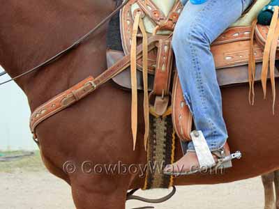 A Western cinch on a roping horse