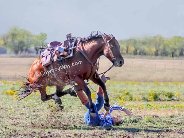 A 3rd daily photo with cowboys or cowgirls