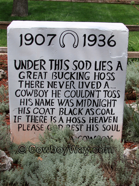 Current cowboy photo of the day