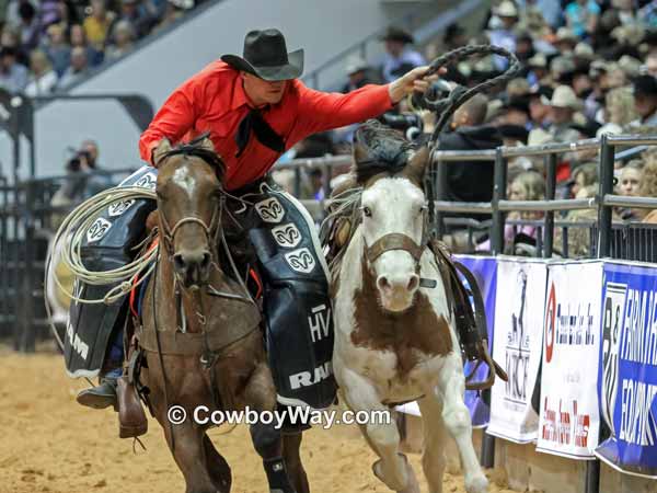 Current cowboy photo of the day