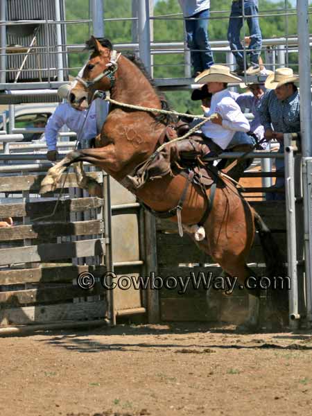 A random photo of the day featuring cowgirls or cowboys