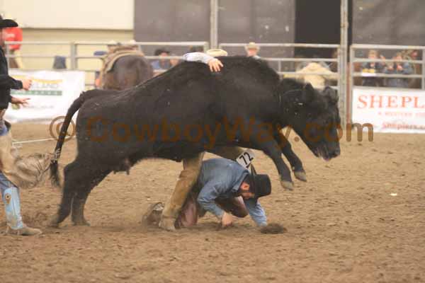 A 3rd daily photo with cowboys or cowgirls