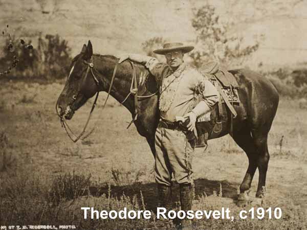Theodore Roosevelt standing next to a horse